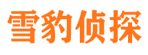 呼玛市调查公司